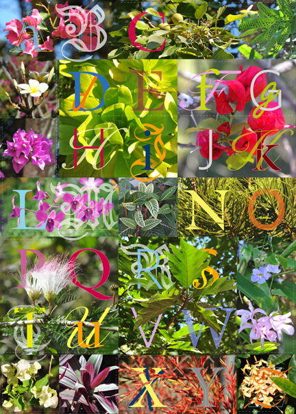 Sampler by Anne Chesnut 