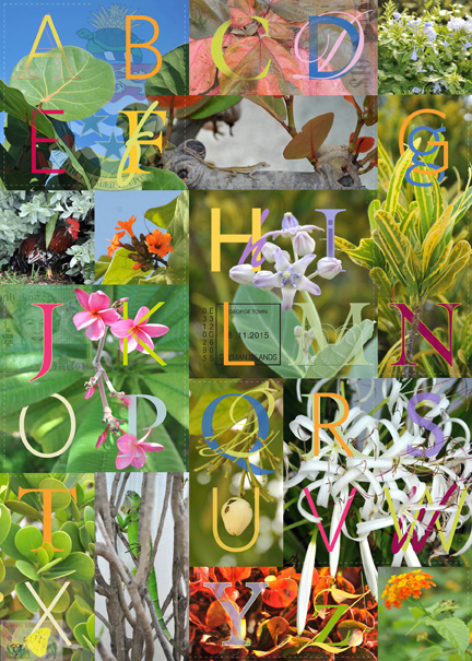 Sampler by Anne Chesnut
